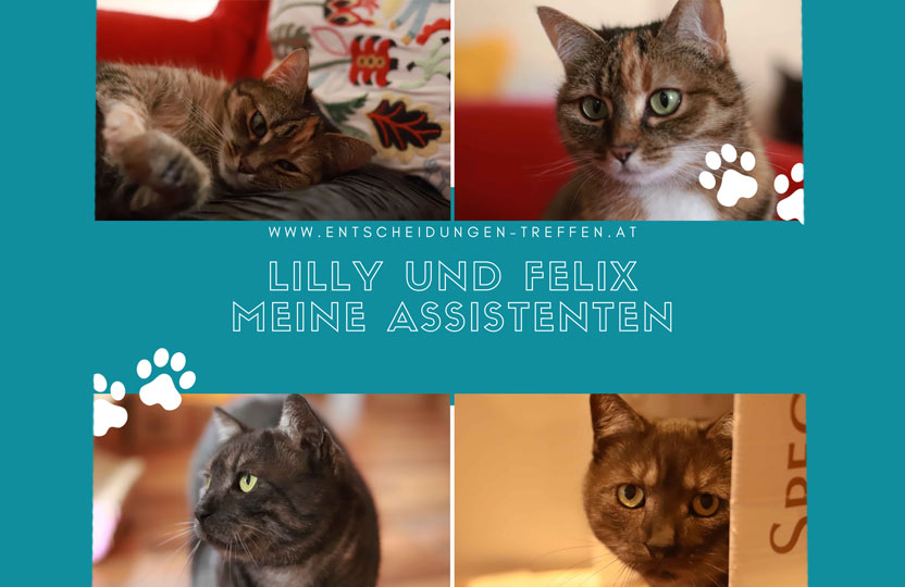 Claudia_Scheer_lilly_felix